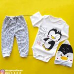 سه تیکه پنگوئن کوچولو