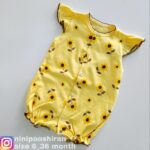 رامپر آفتابگردون