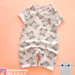 رامپر پیشی طوسی