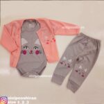 سه تیکه پیشی لپ گلی