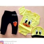 سه تیکه اردک لیمویی