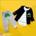 سه تیکه دایناسور اسپینوساروس