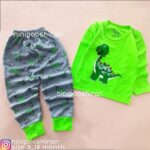 بلوز شلوار دایناسور سبز طوسی