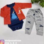 سه تیکه اسب آبی