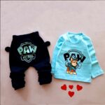 بلوز شلوار سگ نگهبان آبی