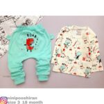 بلوز شلوار دایناسور بادکنکی