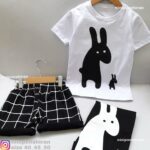 تیشرت شلوارک دو الاغ خسته