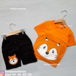 تیشرت شلوارک روباه گوشدار