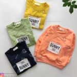 بلوز تک سانی