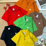 تیشرت تک یقه دار رنگی کد 589
