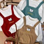 زیردکمه بیسکویتی خرسی کد 862