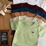 تیشرت بیسیک رنگی کد 1509